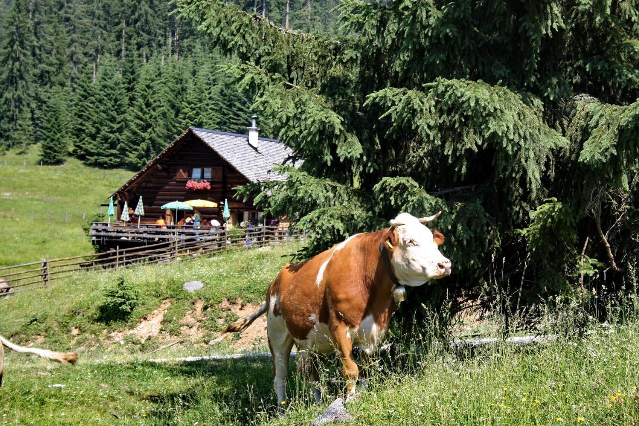 Chalet 164 Bad Goisern Ngoại thất bức ảnh