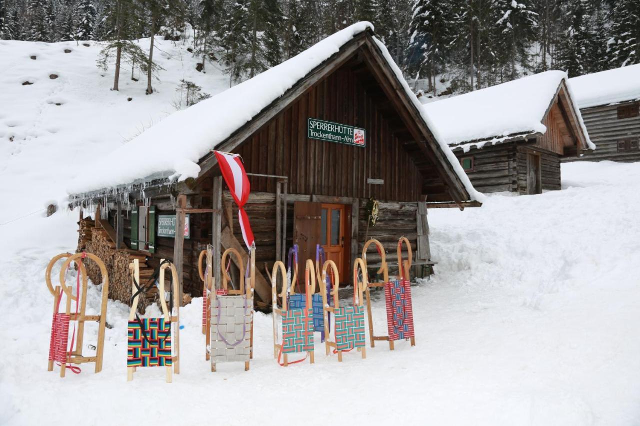 Chalet 164 Bad Goisern Ngoại thất bức ảnh